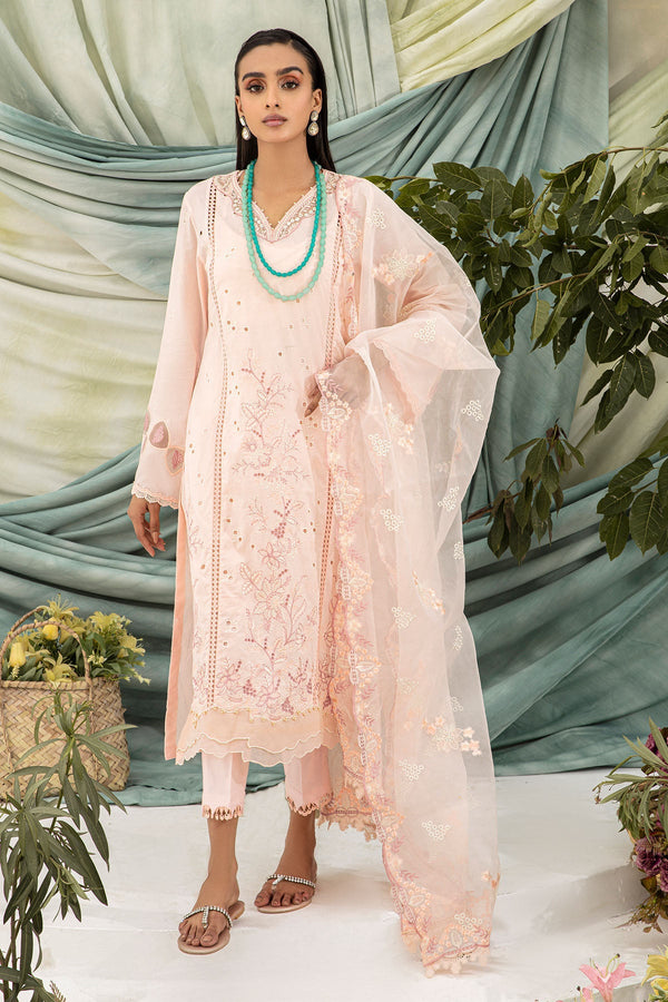 NP-369 (Without Dupatta)