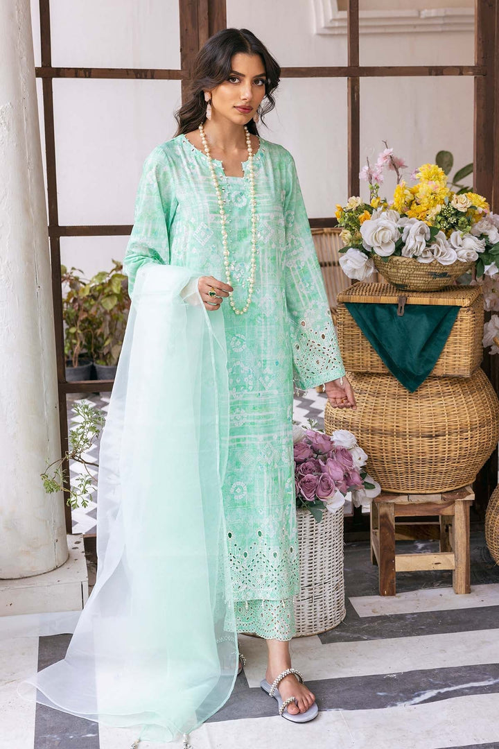 organza dupatta